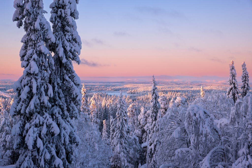 Finlande horizon